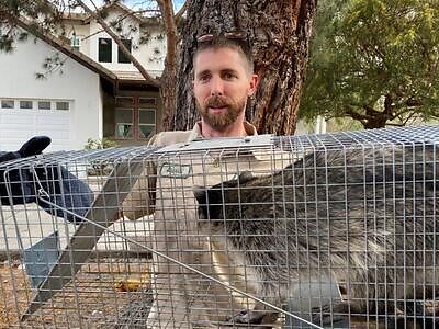 Chicago pest control